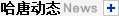 哈唐網絡公司動態